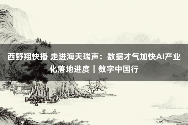 西野翔快播 走进海天瑞声：数据才气加快AI产业化落地进度︱数字中国行