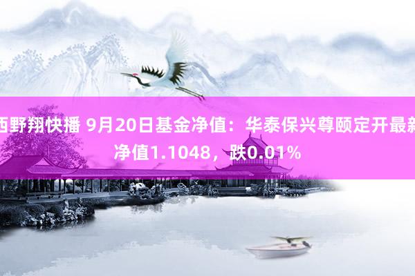西野翔快播 9月20日基金净值：华泰保兴尊颐定开最新净值1.1048，跌0.01%
