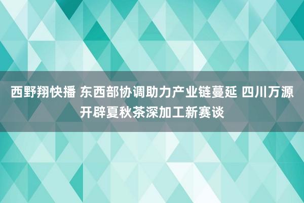 西野翔快播 东西部协调助力产业链蔓延 四川万源开辟夏秋茶深加工新赛谈