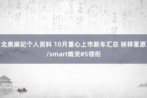 北条麻妃个人资料 10月重心上市新车汇总 祯祥星愿/smart精灵#5领衔