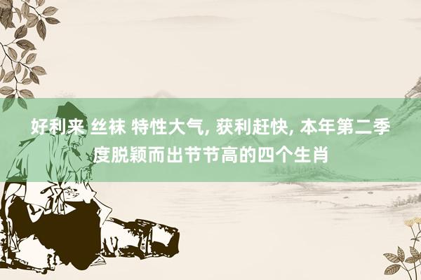 好利来 丝袜 特性大气, 获利赶快, 本年第二季度脱颖而出节