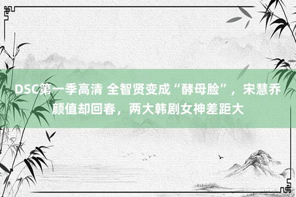 DSC第一季高清 全智贤变成“酵母脸”，宋慧乔颜值却回春，两大韩剧女神差距大